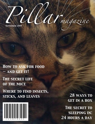 A magazine cover for Pillar Magazine, September 2009, with the following headlines: 'How to ask for food â€” and get it!', 'The secret life of the mice', 'Where to find insects, sticks, and leaves', '28 ways to get in a box', 'The secret of sleeping in: 24 hours a day'
